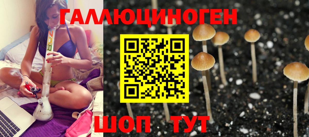 Псилоцибиновые грибы MAGIC MUSHROOMS Клин